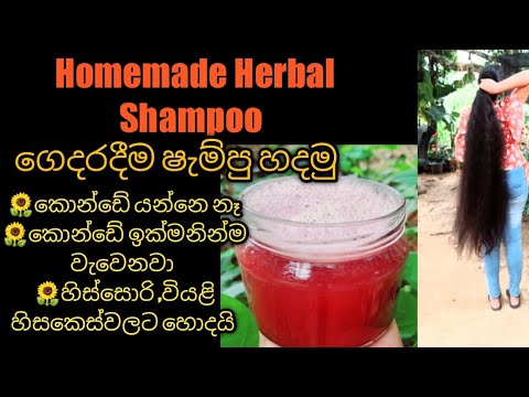 Natural Chemical Free Homemade Shampoo / Shampoo for  long  thicker hair and prevent dandruff