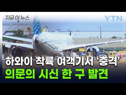 밀입국 시도 비극?...하와이 착륙 여객기 랜딩기어에서 시신 발견 [지금이뉴스] / YTN