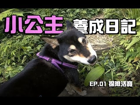 【大黑】小公主養成日記 EP.01 探險活寶