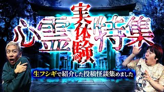 【怒涛の34話】視聴者から届いたリアル過ぎる怪談SP【ナナフシギ】【怖い話】【生フシギ総集編31】