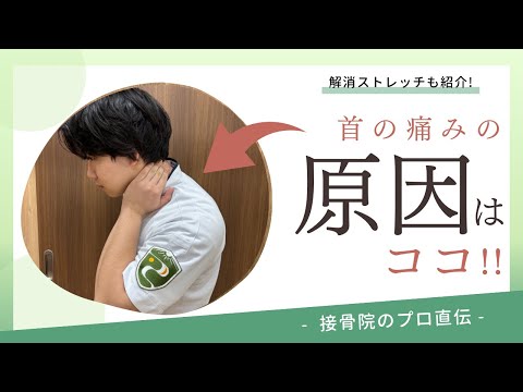 【首のこり〜眼精疲労〜】座っていると首と頭のつけ根が痛くなる、夕方になると目の奥が痛くなり、ひどいときは頭痛も起こる方へのストレッチ！｜接骨院のプロが教えるお家セルフケア｜テラピスト接骨院