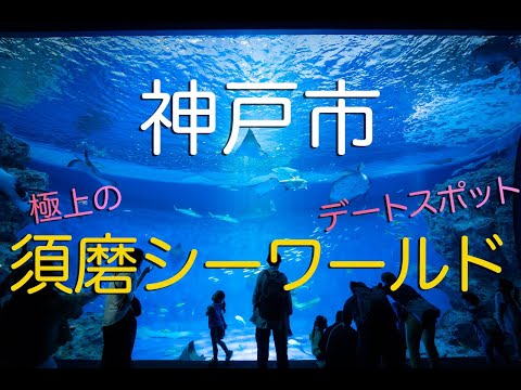 【兵庫県神戸市】関西最高峰のデートスポット・須磨シーワールド！/ 兵庫観光旅行vlog｜Japan's Newest Aquarium Suma Sea World in Hyogo Japan