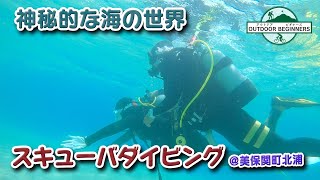 【超初心者】スキューバダイビングで神秘的な海の世界を満喫＠美保関町北浦