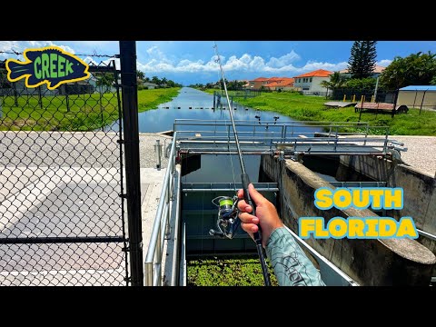 Random South Florida Ditch Fishing!!