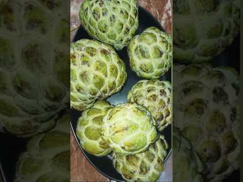 How to eat custard apple #custardapple #subscribe #fruit #shorts