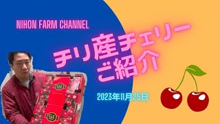 今回はこれから入荷が本格的に始まるチリ産チェリーのご紹介です♪