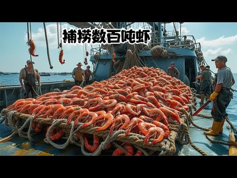 国外拖网捕虾，当地渔民利用自动海捕方式每年捕捞数百吨虾