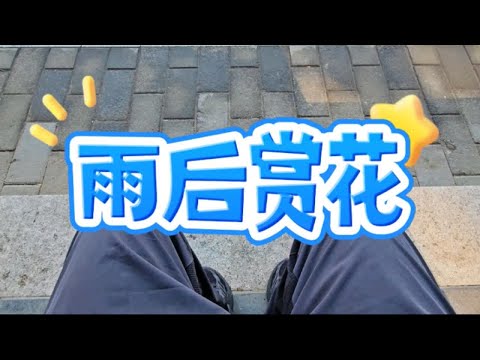 【36岁退休的拦马书生】我的最新作品，快来一睹为快！