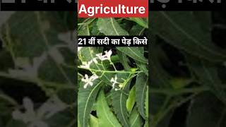 21 वीं सदी का पेड़ किसे कहते हैं  |What is the tree of the 21st century called? | #neem #tree #agro