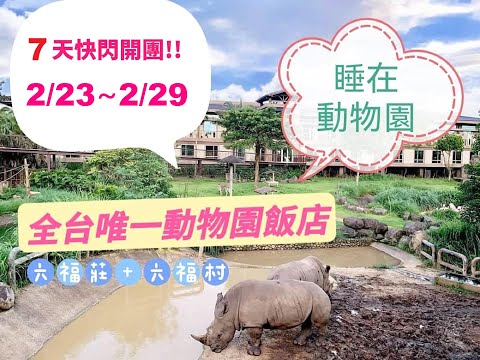 親子童享2024六福莊生態度假旅館限時住宿優惠