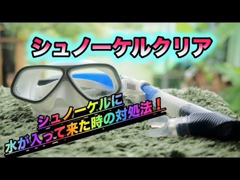 【沖縄ダイビング】ダイビング器材の使い方　”シュノーケルクリアの仕方”　ピンクマーメイド