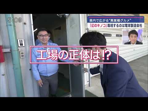 静岡朝日テレビ「とびっきり！しずおか」 異業種なのに絶品グルメ