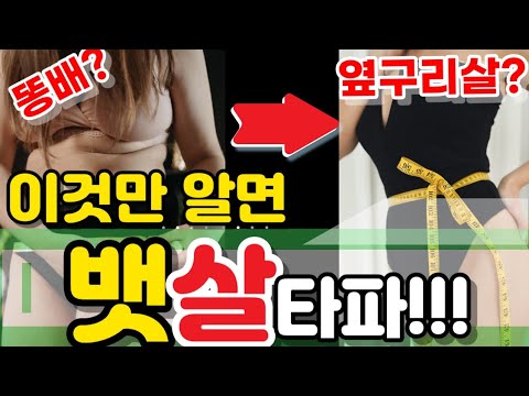 뱃살의 모든것 (윗배, 아랫 뱃살빼기) 똥배, 옆구리살 빼는법(A-Z까지 다알려드릴게요)