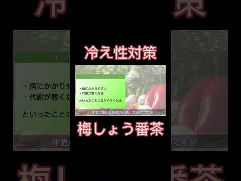 【冷えは万病の元】冷えると何が行けないの？