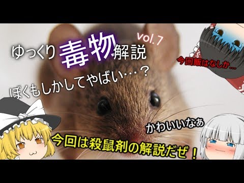 ゆっくり毒物vol.7～モノフルオロ酢酸～【ゆっくり解説】