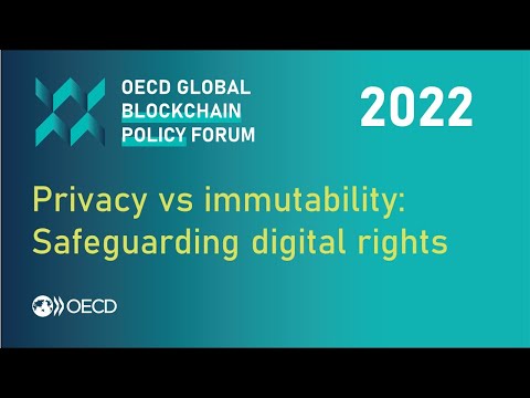 Privacy vs Immutability: Safeguarding digital rights on the blockchain