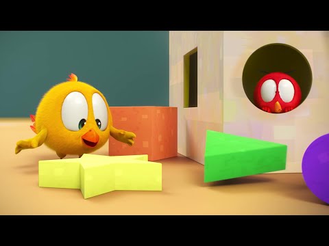 Shapes and colors | Where's Chicky?  | Cartoon Collection in English for Kids | New episodes