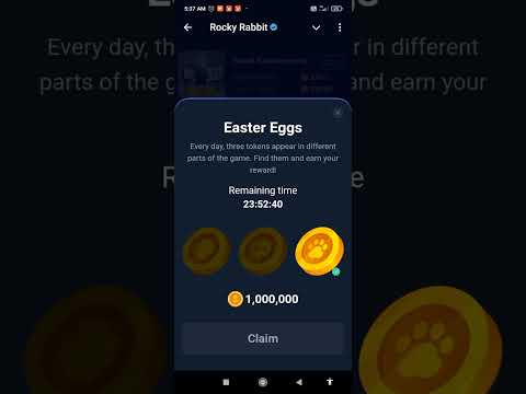 Rocky Rabbit Easter Egg 2 September | Rocky Rabbit Easter Egg Daily combo  | Today Easter egg