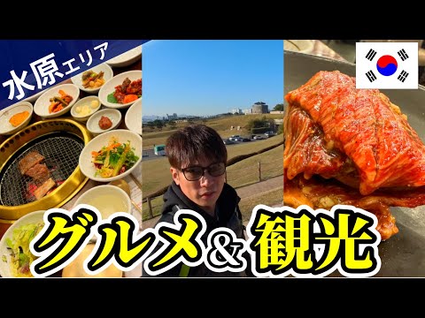 【韓国一人旅】水原スウォン半日モデルコース！一生に一度は食べたいカボジョンカルビと壮観な水原華城からの眺めに感動【グルメ＆観光】【世界遺産】