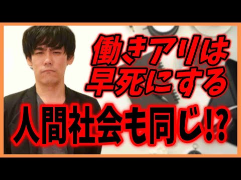 働きアリは早死にする！人間社会も同じ！？