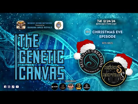 The Genetic Canvas - Ep 3 - Christmas Eve Episode!