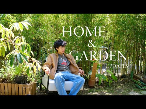 Home and Garden Updates | new chairs, strolling through the garden