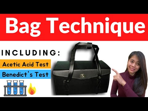 Bag Technique Procedure I Benedict's Test I Acetic Acid Test