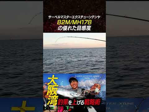 大注目のサーベルマスターエクスチューンテンヤ【82M/MH178】について