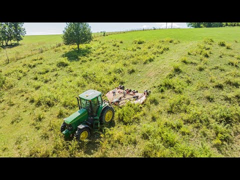 Cleaning Pasture Brush - RhinoAg 4155 & John Deere 7600