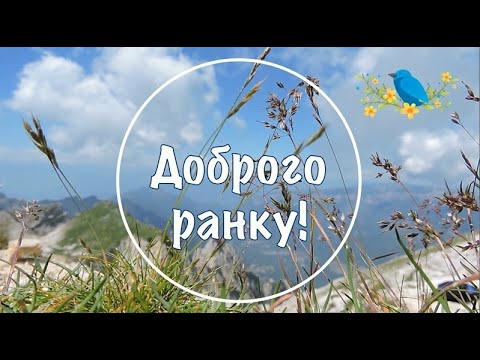 Доброго ранку! Гарного дня! Привітання з добрим ранком! Хорошого настрою! Тепло Краса Ранок Квіти