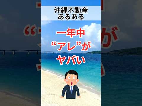 【沖縄不動産あるある】一年中"アレ"がヤバい#shorts #breo#沖縄#マンション #不動産#沖縄移住#沖縄不動産#あるある#沖縄あるある#不動産あるある