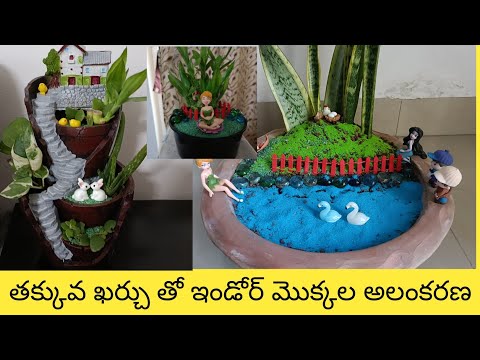 Low maintenance indoor plants in Telugu/ Indoor plants decoration  /oxygen release indoor plants