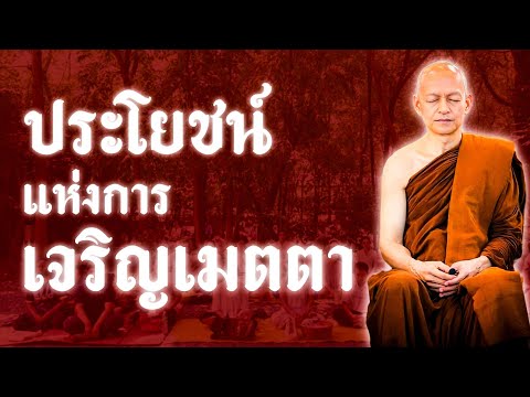 ประโยชน์แห่งการ “ เจริญเมตตา ”