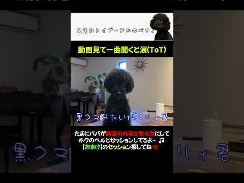 犬とセッション🎵にんげんっていいな【替え歌】