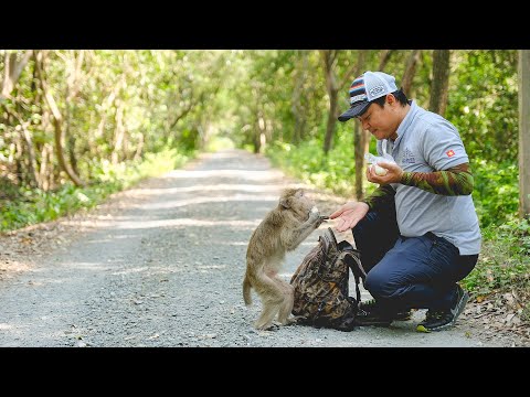 Explore Can Gio Forest by speedboat | Top Things to do when visiting Ho Chi Minh City!!