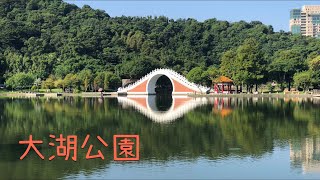 大湖公園  鷺鷥湖  錦帶橋  落羽松黃了 |  台北市 內湖區 搭捷運文湖線 輕鬆到