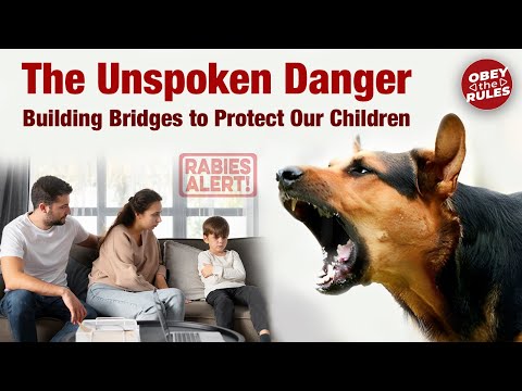 The Unspoken Danger | Building Bridges to Protect Our Children |#documentary #parentsawareness #otr