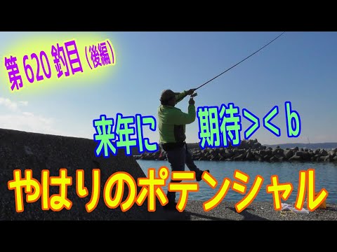 釣り動画ロマンを求めて 620釣目（後編）