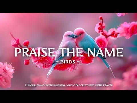 Praise The Name : Instrumental Worship and Scriptures with Birds 🕊 Christian Instrumental