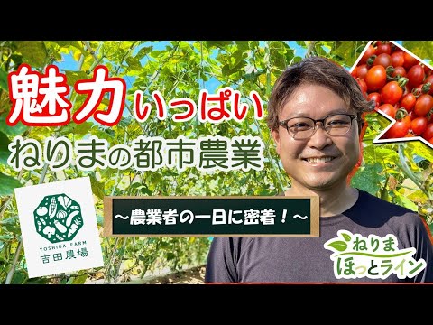 ねりまほっとライン（魅力いっぱい　ねりまの都市農業 ～農業者の一日に密着！～）令和５年特別号②