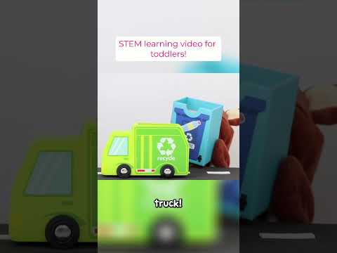 Best toy learning videos for toddlers, with Boey Bear! STEM for kids #shorts