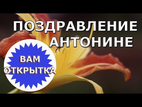 Поздравление Антонине