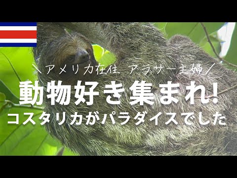 コスタリカの魅力を凝縮して味わう１日vlog