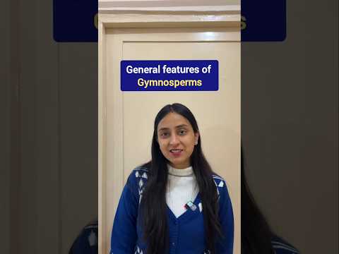 Features of Gymnosperms | Plant Kingdom #shorts #ytshorts #shortsvideo #biology #neet #class11