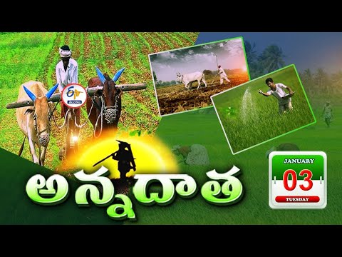 అన్నదాత | 3rd January 2025 | Annadata | Full Bulletin | ETV Telangana