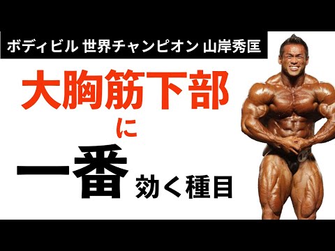 【筋トレ】大胸筋下部のトレーニングについて、世界チャンプが解答！【山岸秀匡】