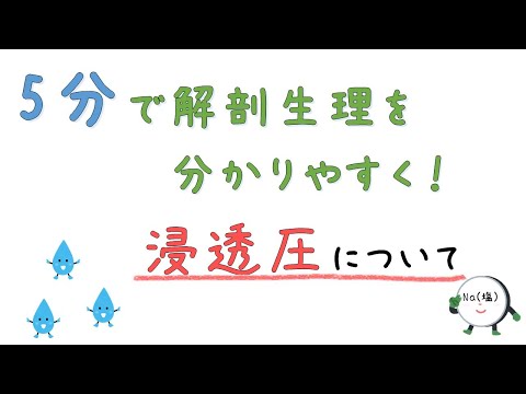 浸透圧の仕組みや目的をわかりやすく【5分でわかる解剖生理学】