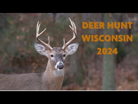 Deer Hunt Wisconsin 2024 | Dan Small Productions