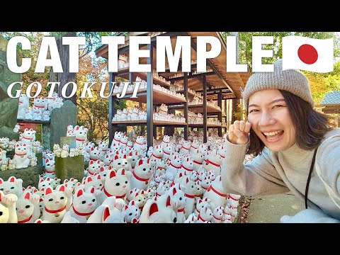 TOKYO🇯🇵 7 things to do around Gotokuji (Lucky cat temple)🐈 Autumn Leaves in Tokyo🍁 Japan travel vlog