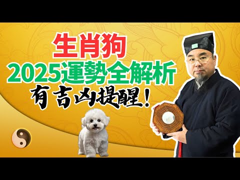 生肖狗，2025乙巳蛇年流年運勢全解析！吉凶大揭秘！属狗人必看！ #2025年生肖狗運勢 #2025年生肖狗運程 #2025年屬狗運勢 #2025年屬狗運程